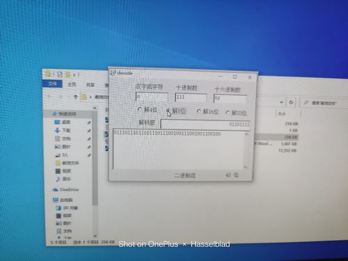 计算机及通讯设备租赁实验报告